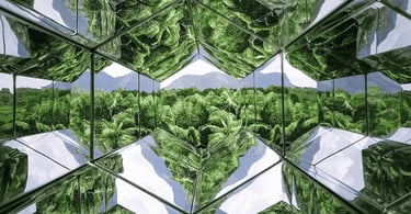 Obra Viewing Machine no Inhotim com reflexos da vegetação, céu e montanhas em Brumadinho