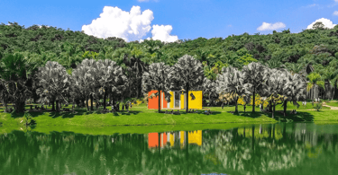 Obra de arte com uma lagoa e árvores na composição, no Museu Inhotim em Minas Gerais