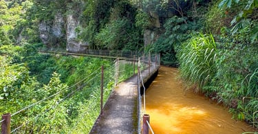 Passarela no meio da Natureza ao lado de um rio no Cânion do Funil, em Santo Antôpnio do Salto MG