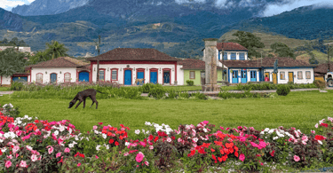 Praça central de Catas Altas com flores, casas históricas ao fundo e cachorro