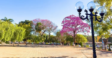 Praça arborizada de Itatiaiuçu com ipês floridos, postes antigos e amplo espaço de convivência