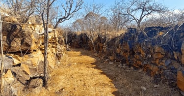 Um pedaço da Trilha Verde, com paredes de pedra e vegetação nativa do cerrado mineiro