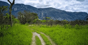 Trilha na Serra do Cipó com vegetação verde, montanhas ao fundo, céu nublado e paisagem natural