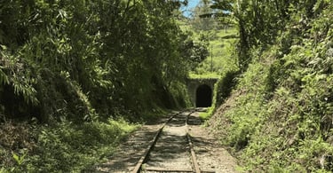 Túnel ferroviário em Passa Quatro MG com trilhos antigos em meio à mata da Serra da Mantiqueira