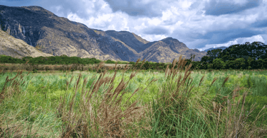 Vegetação e montanhas na Serra do Cipó