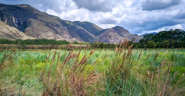 Vegetação e montanhas na Serra do Cipó