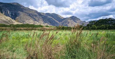 Campo de capim alto com montanhas rochosas na Serra do Cipó
