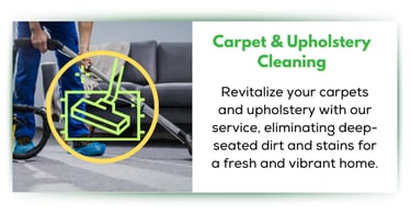 Carpet cleaning and upholstery sofa cleaning service
