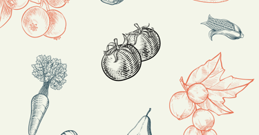 illustration stylisée orangde fruits et légumes