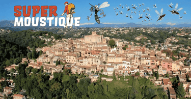 Intervention rapide Super Moustique à Biot