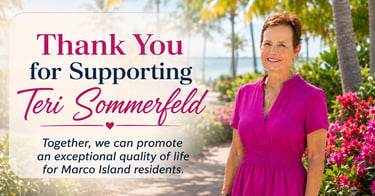 Donate to Teri Sommerfeld's campaign