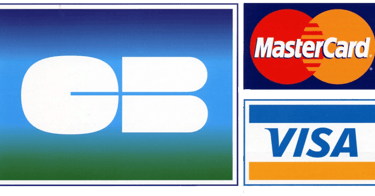 Accepted credit card logos featuring Carte Bleue CB, MasterCard, and Visa payment methods.
