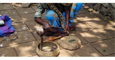 Encantador de cobra naja em Colombo, Sri Lanka.