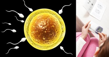 लड़के के गर्भधारण में समय और आवृत्ति की भूमिका