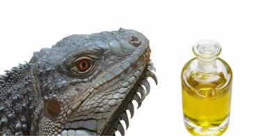 सांडे का तेल क्या होता है