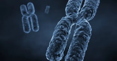 निष्कर्ष: एक लड़के के गर्भधारण की संभावना को अधिकतम करना