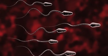 शुक्राणु क्या है (What is Sperm in Hindi)