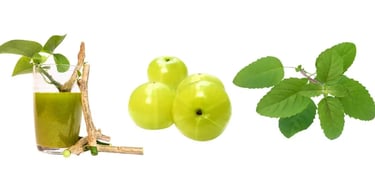 धातु रोग की जड़ी बूटी