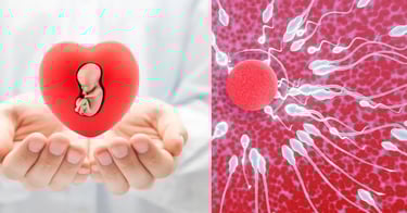 ladka पैदा करने के लिए स्पर्म काउंट कितना होना चाहिए