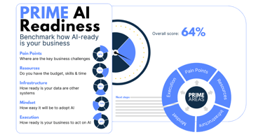 PRIME Business AI Readiness Assessment