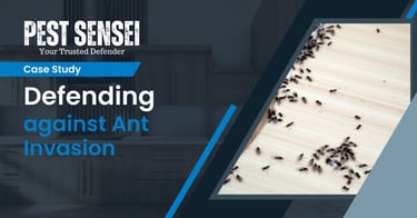 case study on ant control in a terrace house