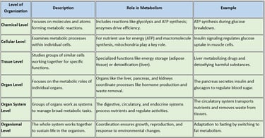 six levels of organization
