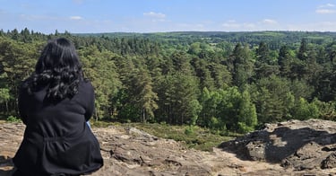 Person looking out at a beautiful scene