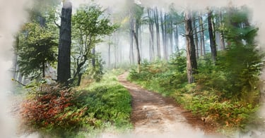 Expositions photo 2025 nature