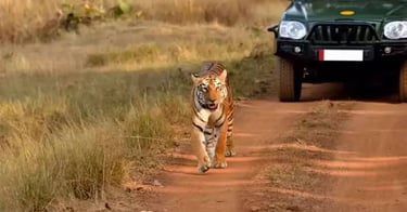 Hyderabad to Srisailam cabs 