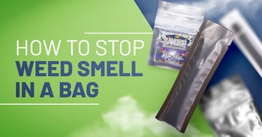 Weed stored in a backpack with odor concern