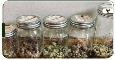 Simple weed storage setup at home
