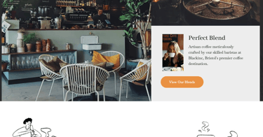 Below are example website styles created for different types of local and professional businesses