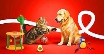 Full veterinary services including check-ups, vaccinations, advanced diagnostics (Ultrasound)