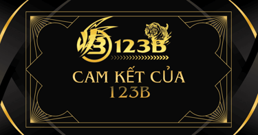 camket-123b