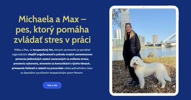 Miška a Max , Websupport