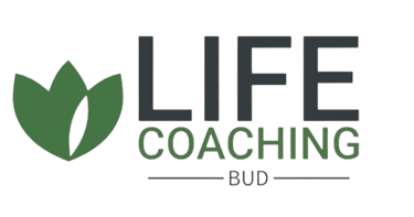 One (1) month life coaching program, once per week, one hour session