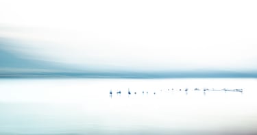 Minimalisme