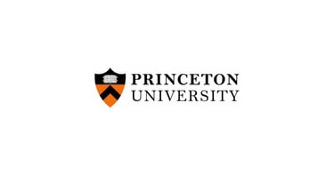 Princeton University Logo Icon.