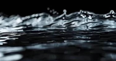 Water.