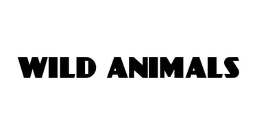 Wild Animals.
