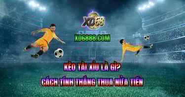 Kèo tài xỉu là gì và cách đọc kèo 2.25 2.5 2.75