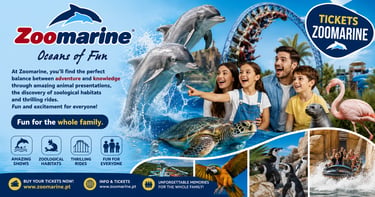 Family enjoying Zoomarine theme park with dolphins, sea turtles, and thrilling roller coaster rides.