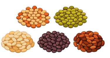 Pulses exporter