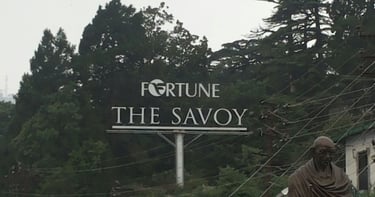 Innovative Sunboards for Indoor Displays