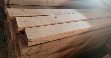 Close-up macro shot of Sal wood (Shorea robusta) texture, highlighting density and durability.