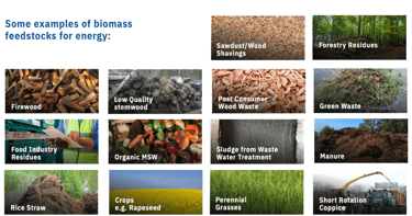 types of biofuels