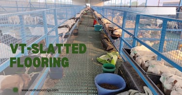 Image of a Hi tech Goat farm