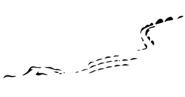 Chael crocodile logo
