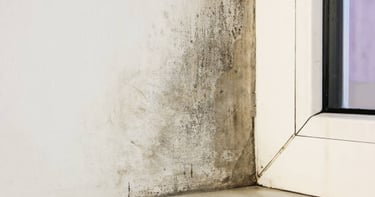 Solución de humedades y filtraciones en fachadas de edificios en Bilbao