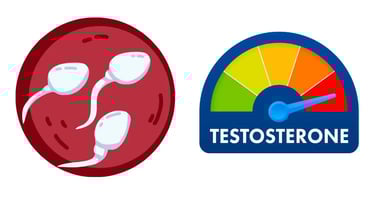 अंडकोष आकार का महत्व